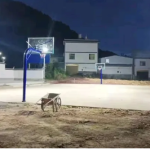 Solar Flood Light WaWa